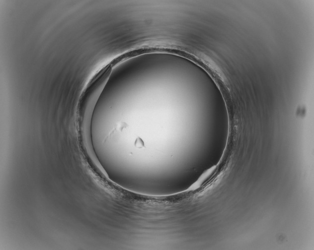 X0000090970981200708091432