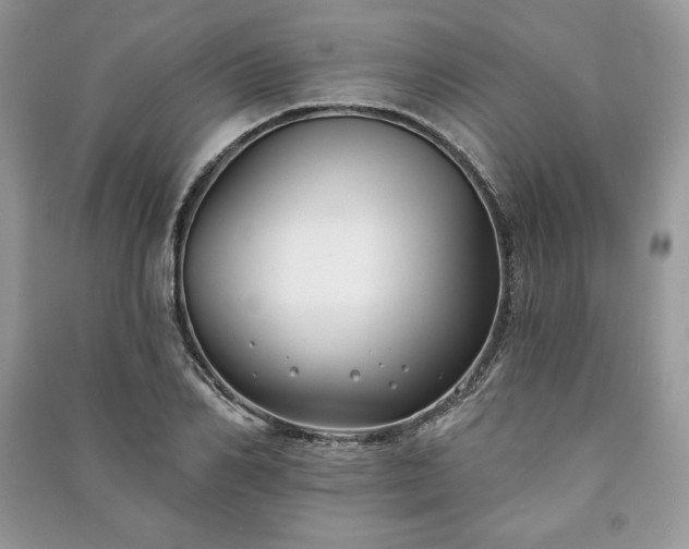 X0000090970982200708091432