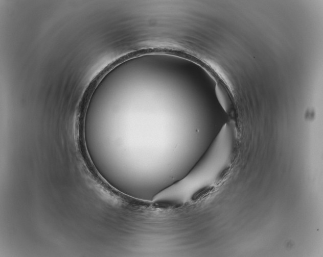 X0000090970983200708091432