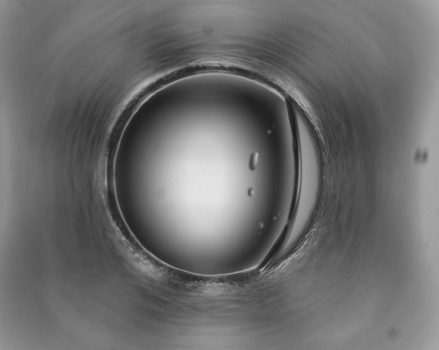 X0000090970984200708091432