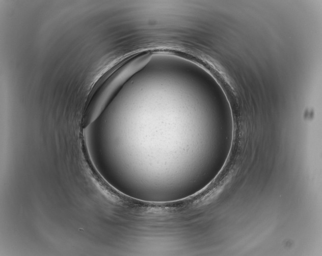 X0000090970985200708091432