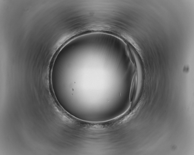 X0000090970986200708091432