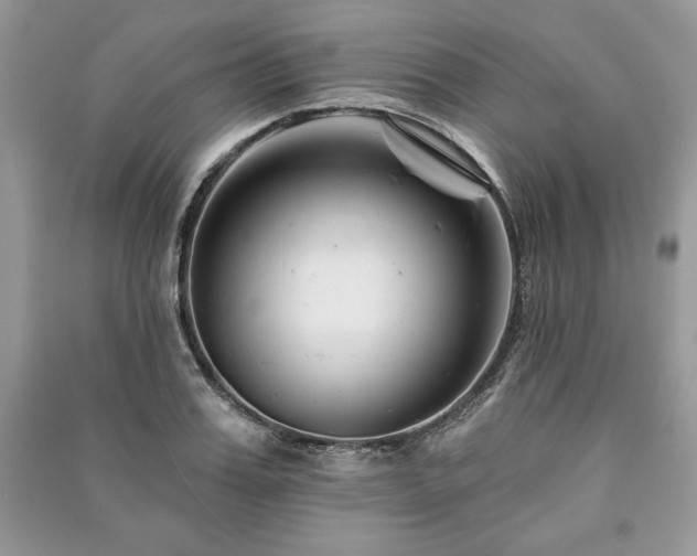 X0000090970987200708091432