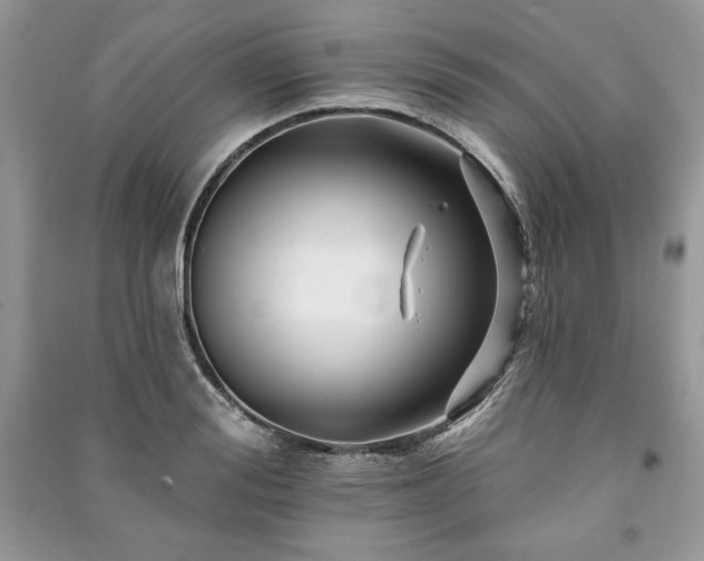 X0000090970988200708091432