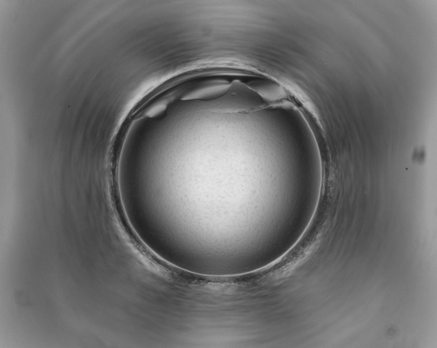 X0000090970989200708091432