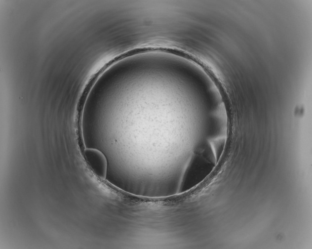 X0000090970990200708091432