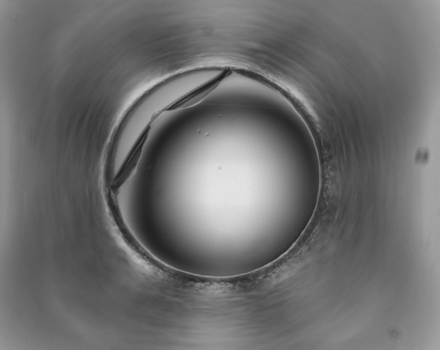 X0000090970991200708091432