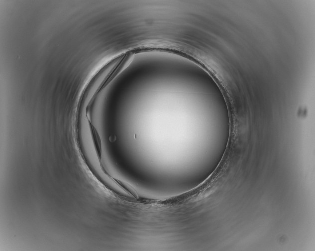 X0000090970992200708091432