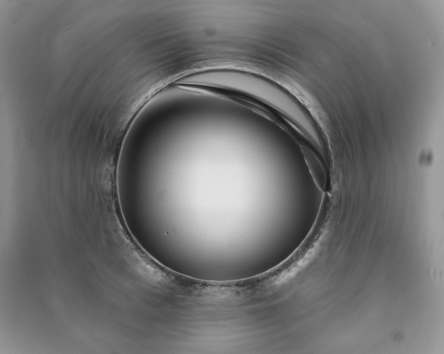 X0000090970993200708091432