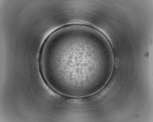 X0000090970995200708091432