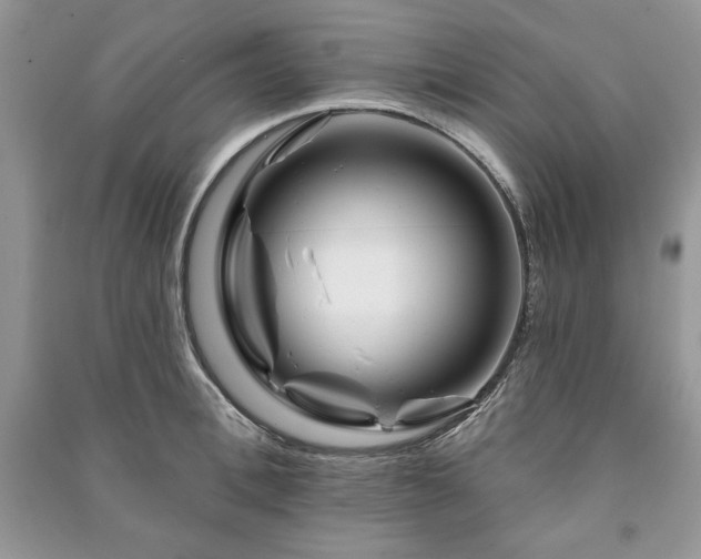 X0000090970996200708091432