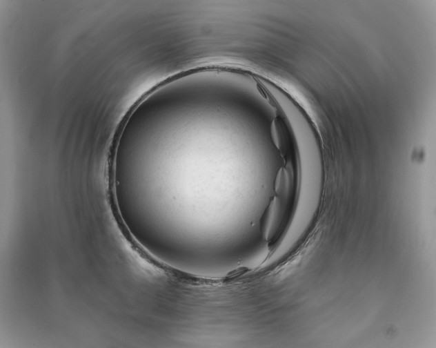 X0000090970999200708091432