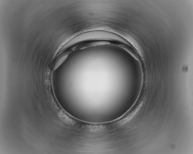 X0000090971001200708091432