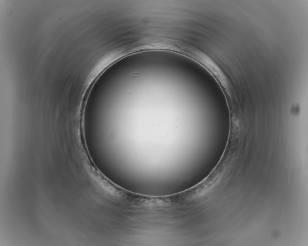 X0000090971002200708091432