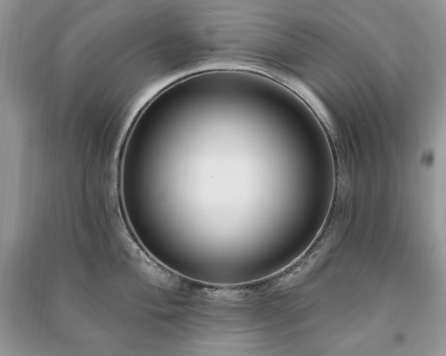 X0000090971004200708091432