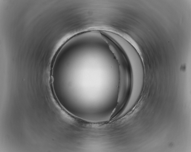 X0000090971005200708091432