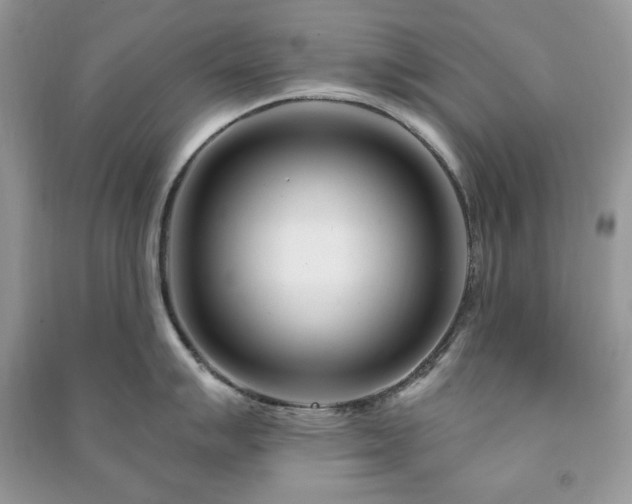 X0000090971007200708091432