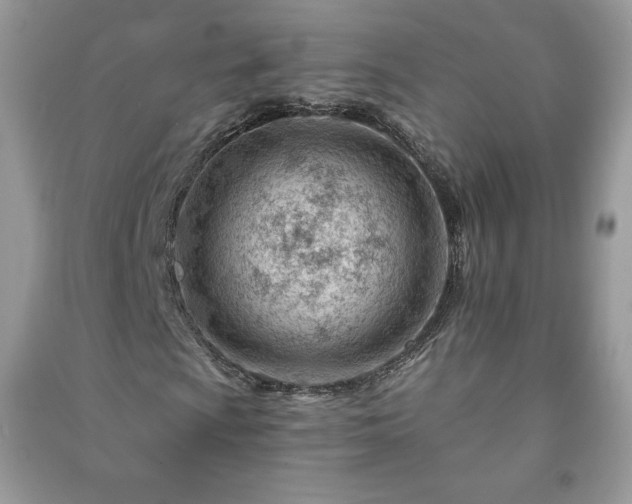 X0000090971009200708091431