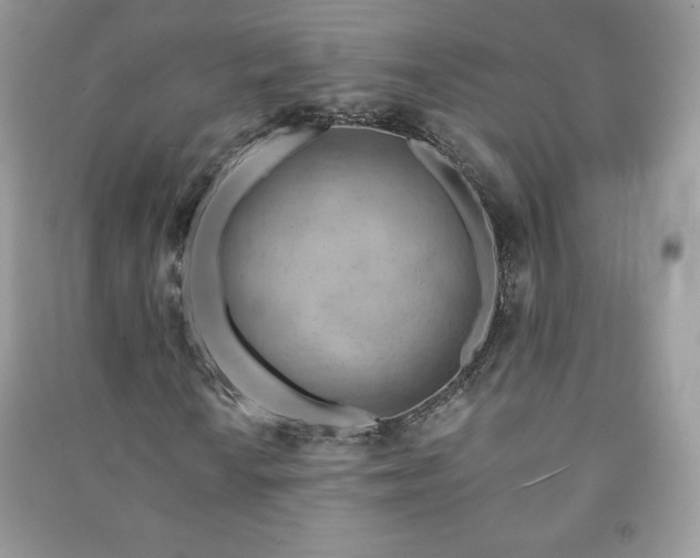 X0000090971010200708091431