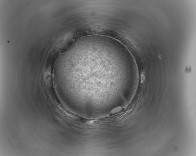 X0000090971011200708091431