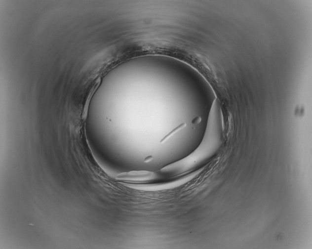 X0000090971012200708091431