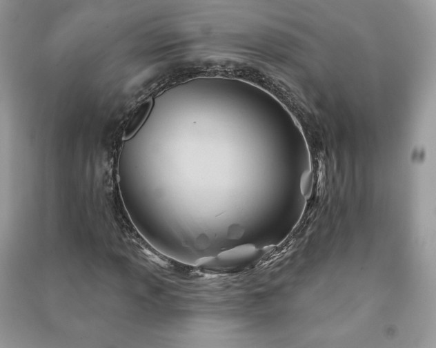 X0000090971013200708091431