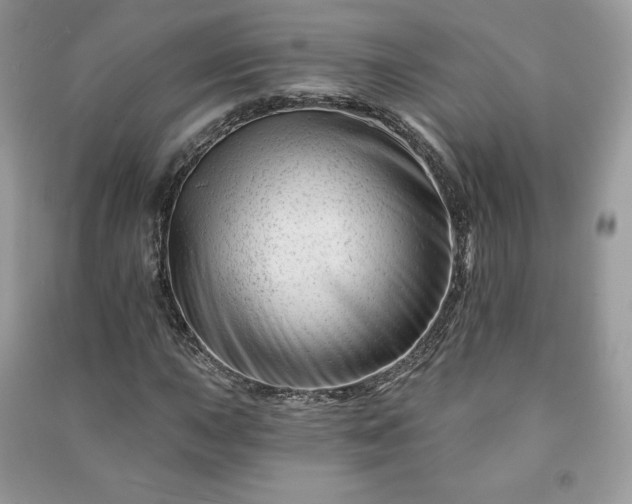 X0000090971015200708091431