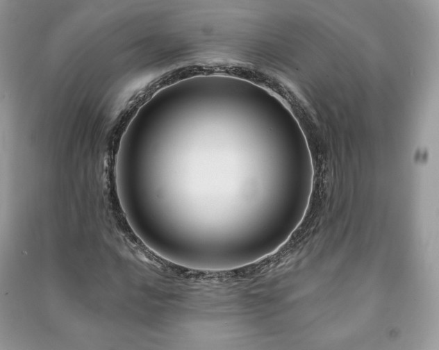 X0000090971016200708091431