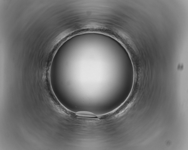 X0000090971017200708091431