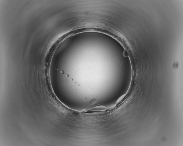 X0000090971019200708091431