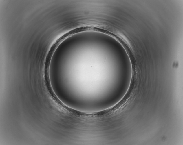 X0000090971020200708091431