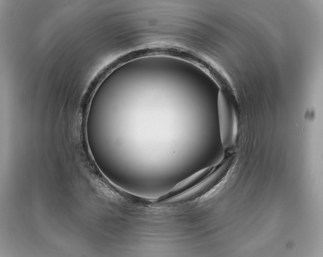 X0000090971021200708091431