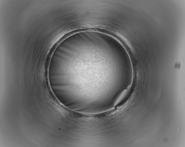 X0000090971023200708091431