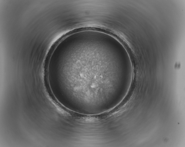 X0000090971024200708091431