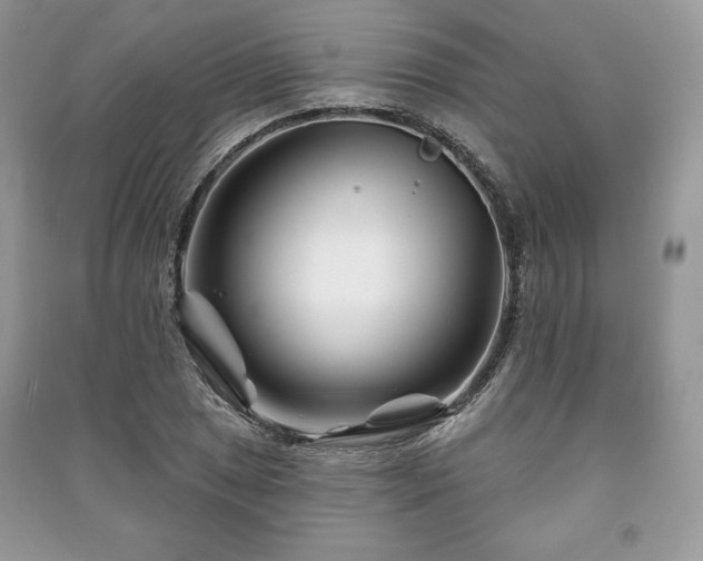 X0000090971025200708091431