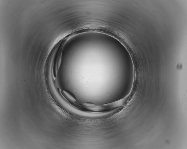 X0000090971026200708091431