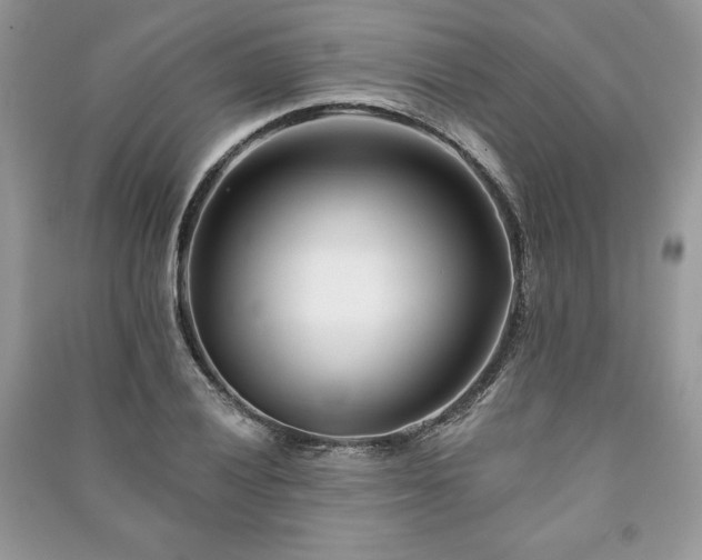 X0000090971028200708091431