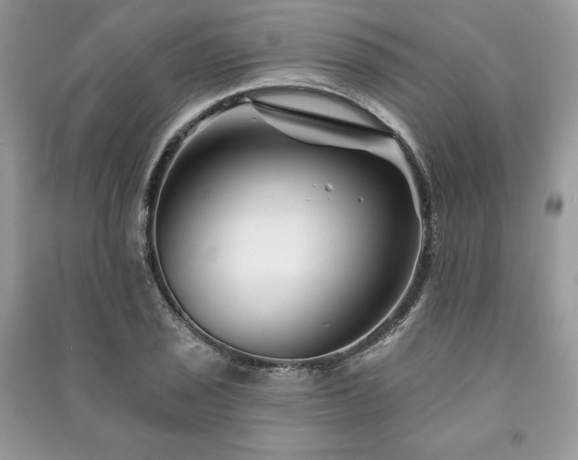 X0000090971029200708091431