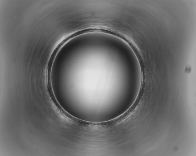 X0000090971032200708091431