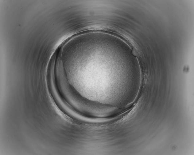 X0000090971034200708091431