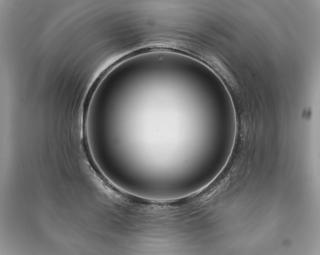 X0000090971036200708091431