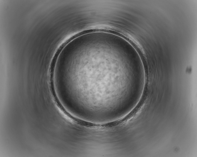 X0000090971037200708091431