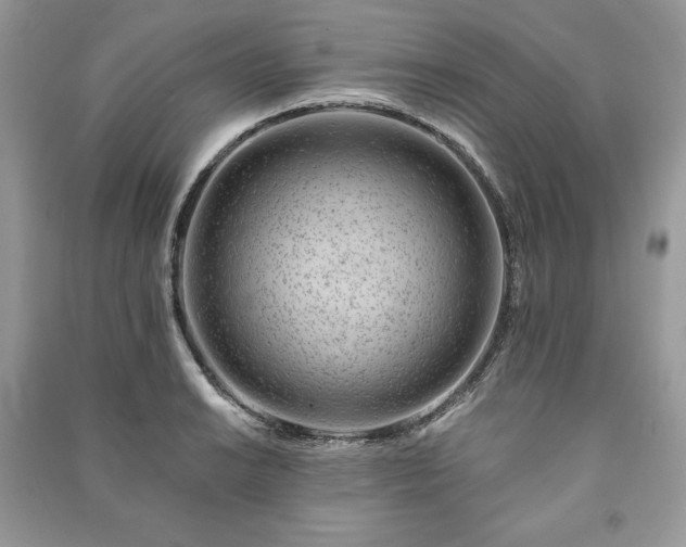 X0000090971038200708091431