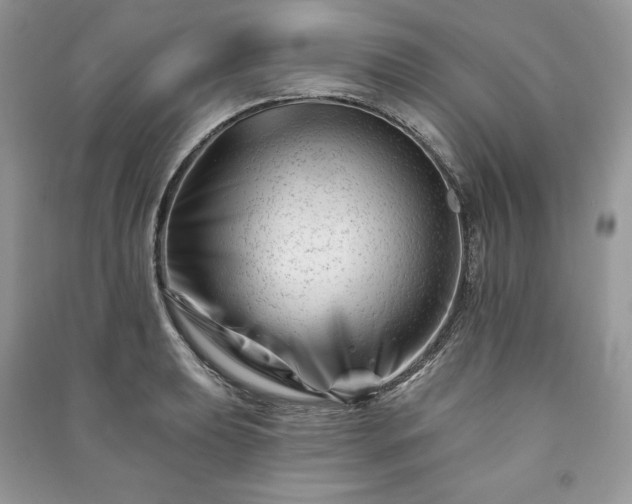 X0000090971039200708091431