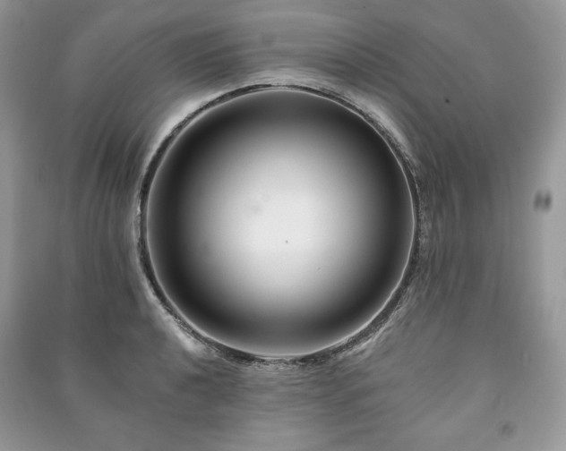 X0000090971040200708091431