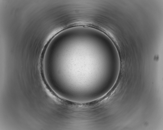 X0000090971042200708091431