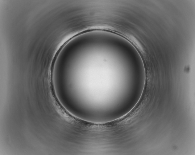 X0000090971044200708091431