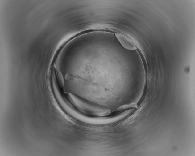 X0000090971045200708091431