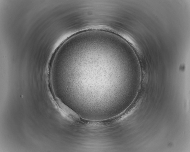 X0000090971046200708091431