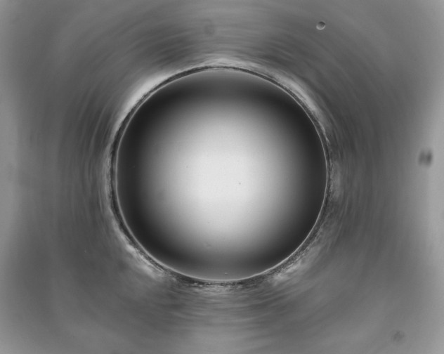 X0000090971048200708091432